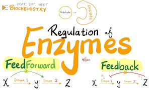 Feedforward amp Feedback Mechanisms  Positive amp Negative Feedback Regulation of Enzymes  Biochem [upl. by Eelarbed379]