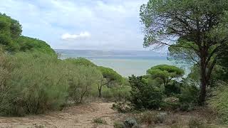 Marismas del Barbate Natural Park 11150 Barbate Abonnez vous and share Enregistré Oussama boujnan [upl. by Jolie]