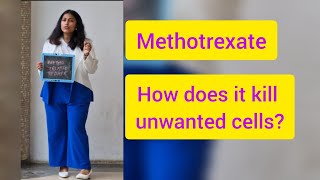 How does methotrexate kill unwanted cells or ectopic pregnancy [upl. by Avitzur246]