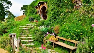 Exploring New Zealand Ep 3  The Village of Hobbiton  Curly Tales [upl. by Llehcar]