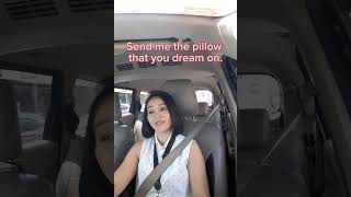 Send me the pillow that you dream on  Johnny Tillotson Viana Mey Cover [upl. by Seluj]