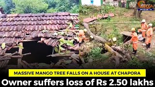 Massive mango tree falls on a house at Chapora Owner suffers loss of Rs 250 lakhs [upl. by Beebe104]