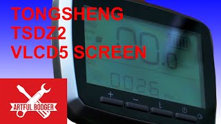 How to configure the screen for the Tongsheng TSDZ2  VLCD5 [upl. by Menendez]