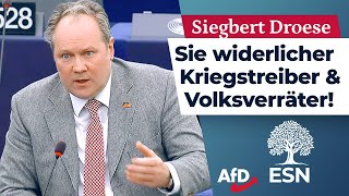 Sie widerlicher Kriegstreiber und Volksverräter – Siegfried Droese AfD [upl. by Sheley]