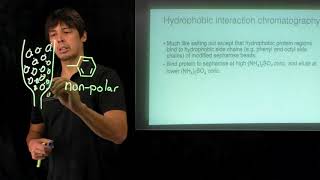 Topic 47  Hydrophobic interaction chromatography and chromatograms [upl. by Alisan949]