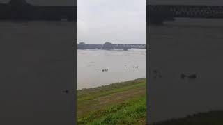 IL FIUME PO fiumepo alluvione autunno acqua love life youtubeshorts youtuber viralvideo [upl. by Mellicent]