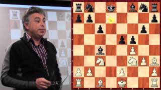 Seirawan vs Karpov  Haninge Sweden 1990  English  GM Yasser Seirawan  20121213 [upl. by Swinton]