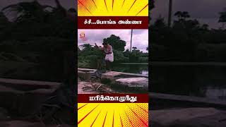 ச்சீபோங்க அண்ணா  Marikozhundhu Tamil Movie Scenes  Goundamani  Senthil  Aishwarya  ytshorts [upl. by Ayihsa]