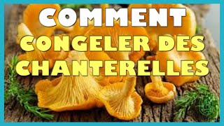 Comment congeler des chanterelles [upl. by Eimaral]