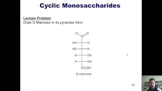 Chapter 22 – Carbohydrate Chemistry Part 6 of 7 [upl. by Rosabella371]