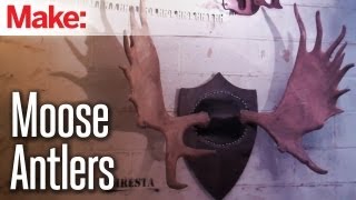 Diresta Mounting Moose Antlers [upl. by Daub]