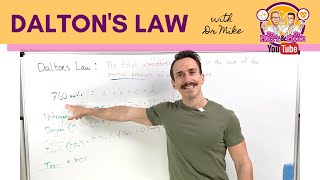 Daltons Law  Partial Pressures [upl. by Eylk]