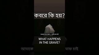 What happens in grave KABIR AZABI  Turkey Movie Bangla Subtitled  কবরের আযাব  তুর্কি সিনেমা [upl. by Dyann659]