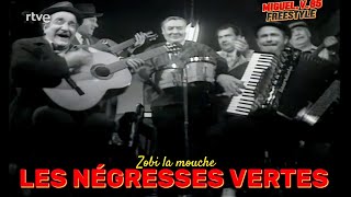 Les Négresses Vertes quotZobi la mouchequot 1990 [upl. by Annua]