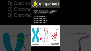 Which chromosome is associated with Huntingtons disease [upl. by Haodnanehs524]