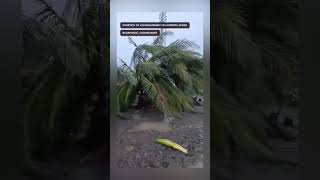 Severely damaged buildings and fallen trees are seen in the aftermath of Super Typhoon PepitoPH [upl. by Jet753]