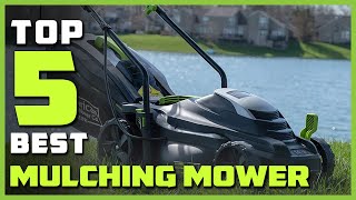 Best Mulching Mower in 2023  Top 5 Mulching Mowers Review [upl. by Massarelli]