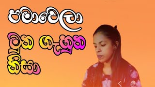 PAMAWELA MUNA GAHUNA NISA පමාවෙලා මුන ගැහුන නිසා  damith asanka coversong songscollection [upl. by Johns]