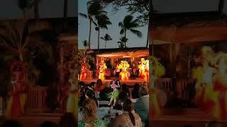 Luau  Hawaiian Dance [upl. by Paulson]