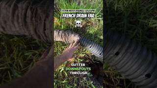 Downspout Drain  French Drain  FAIL  Tampa Yard Drainage  Wesley Chapel FL  Water Drainage [upl. by Ajaj]