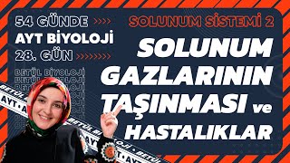 28 Solunum Gazlarının Taşınması ve Hastalıklar  Solunum Sistemi  11 Sınıf  AYT Biyoloji 28 Gün [upl. by Thorncombe122]