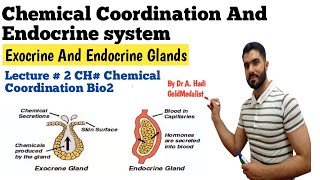 L1 Chemical Coordination and Endocrine system Exocrine and Endocrine glands difference [upl. by Emilee]