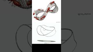 Möbius Strip By Max Gyan maxgyan fact short shortsfeed youtubeshort [upl. by Cozza707]