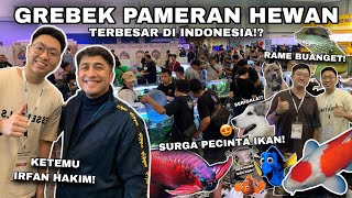 GREBEK PAMERAN HEWAN TERBESAR DI INDONESIA BANYAK IKAN DAN HEWAN KEREN KETEMU deHakims [upl. by Aisayn]