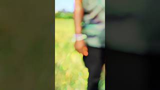 💔 UNDIPORAADHEY SONGshorts shortsfeed song telugu ytshorts ytshortsindia [upl. by White]