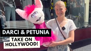 Darci amp Petunia Take on Hollywood  Darci Lynne [upl. by Sibley263]