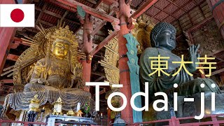 Todaiji Temple 東大寺  Nara  Japan [upl. by Hpeosj820]