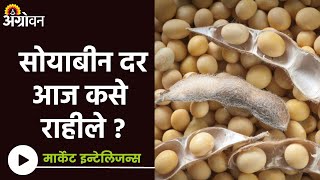 Soybean Market  सोयाबीन दरात काहीशी सुधारणा  Agrowon  ॲग्रोवन [upl. by Oneill14]