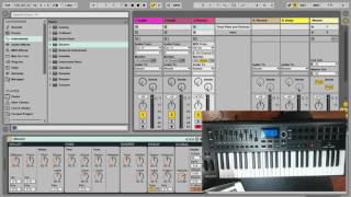 Ableton Preferences  Link MIDI [upl. by Dnalsor]