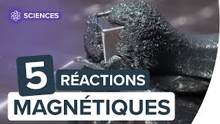 Magnétisme 5 réactions étonnantes avec des aimants  Futura [upl. by Nnylkcaj]