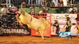 Rodeio de Colorado 2016  MELHORES TOUROS  QUINTA FEIRA [upl. by Ahsienek341]