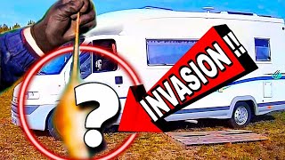 INVASION DE SOURIS DANS MON CAMPING CAR [upl. by Baillie]