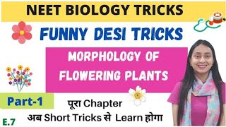 NEET BIOLOGY TRICKS Morphology of Flowering Plants  Part1 [upl. by Siloam]