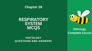 Respiratory System MCQ Questions Answers  Respiratory System Class 912 MCQs Ch 28 Notes PDF  App [upl. by Ennovahs]