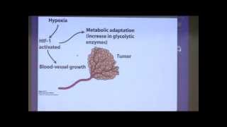 Kevin Aherns BiteSized Biochemistry 23  Glycolysis IIIGluconeogenesis Carbohydrate Metabolism [upl. by Sirtimed]