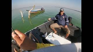 Pesca de Corvinas em Santa Maria da Serra Rio Piracicaba [upl. by Ramyaj648]