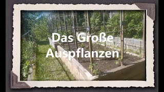 Das Große Auspflanzen [upl. by Territus43]