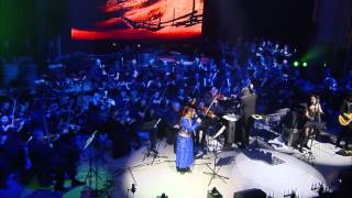 The Dark Knight  Hans Zimmer J Newton Howard  LIVE [upl. by Tnilc326]