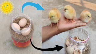 How to hatch eggs at home without incubator  Incubator plastic box help sunlight 100 result [upl. by Vogeley]