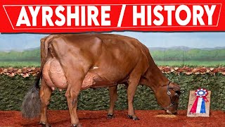 ⭕ AYRSHIRE CATTLE History ✅ Milking Cows In The World  AYRSHIRE [upl. by Trilbee531]