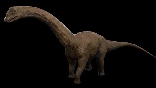 Sauropoda  Long Neck Dinosaur  NgchipvShortVer [upl. by Hanni465]