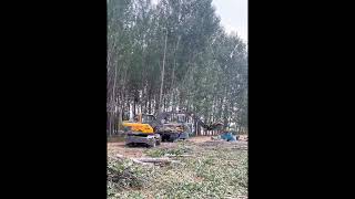 wood log timber tree forest pellet excavator loader backhoe handler crane lift hoist [upl. by Jadwiga945]