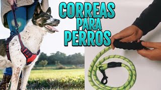 🐩top 4 MEJORES Correas para Perros BARATAS de Aliexpress 2024🚶ARNESES Grandes y Pequeños🐶 [upl. by Eskill817]