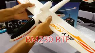 Wltoys F959 Sky King glider unboxing [upl. by Lash]