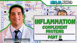 Immunology  Inflammation Complement Proteins Part 3 [upl. by Torin]