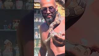 Anaaconda sammp shorts anaconda snake amazon ajgar [upl. by Richella]